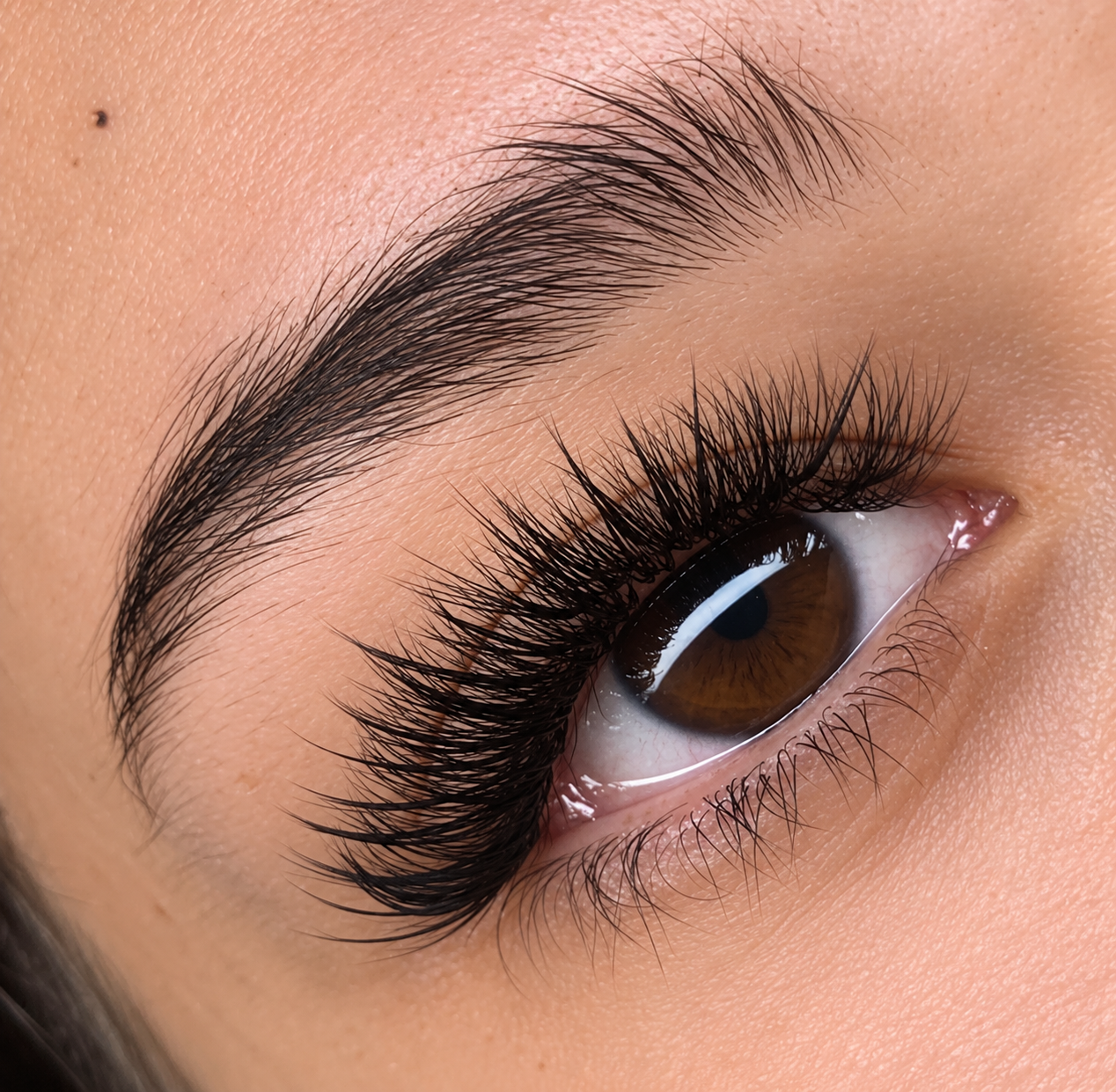 Brown eye with detailed eyelash extensions